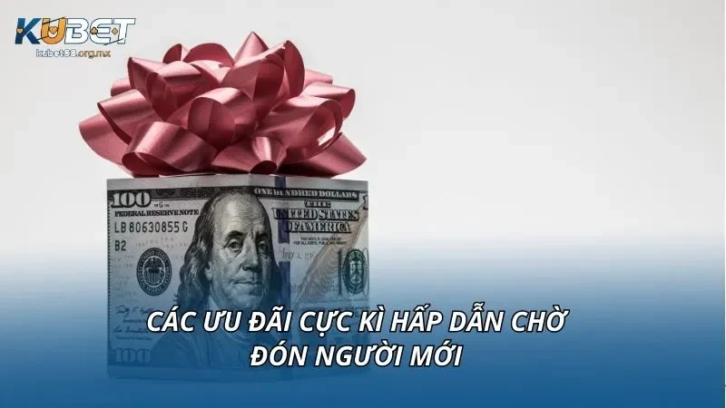 Các ưu đãi cực kì hấp dẫn chờ đón người mới