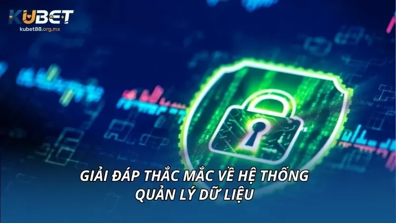 Giải đáp thắc mắc về hệ thống quản lý dữ liệu